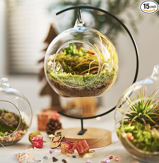 LUCKYRUNES DIY Terrarium Kit by LUCKYRUNES