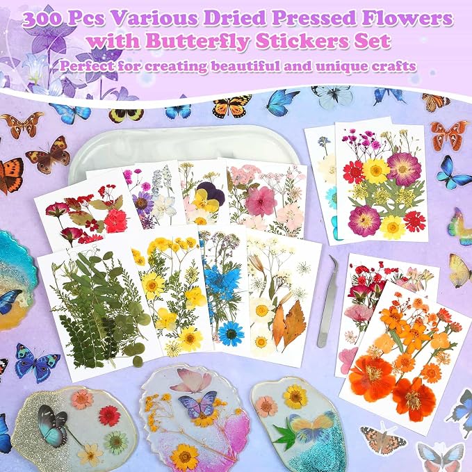 300 Pcs Pressed Dried Flowers - Image 2