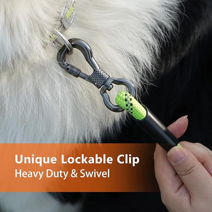 NTR Long Dog Leash, 20FT Reflective Leash with Swivel Lockable Hook and Comfortable Padded Handle, Puppy for Walking, Hunting, Camping, Backyard Small Medium Large Dogs, Red, 20ft*1/3/''