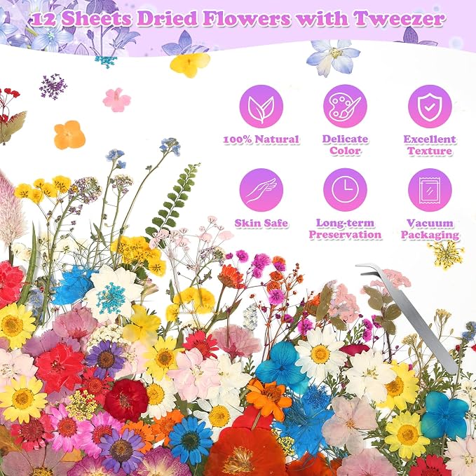 300 Pcs Pressed Dried Flowers - Image 7