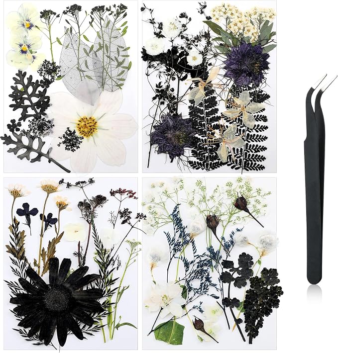 Nuanchu Black White Dried Pressed Flowers by Nuanchu