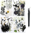 Nuanchu Black White Dried Pressed Flowers by Nuanchu