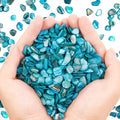 QICQDRAM Crushed Shells for Crafts About 2LB Small Natural Crushed Shells Bulk by QICQDRAM