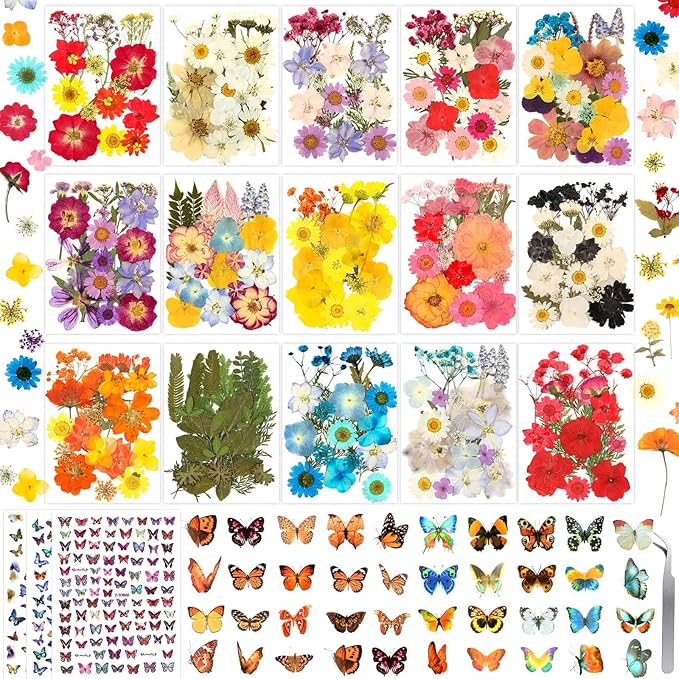 630 Pcs Dried Pressed Flowers by Evatage