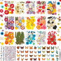 630 Pcs Dried Pressed Flowers by Evatage