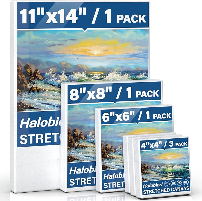 Halobios 6 Packs Stretched Canvases by Halobios