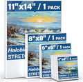 Halobios 6 Packs Stretched Canvases by Halobios