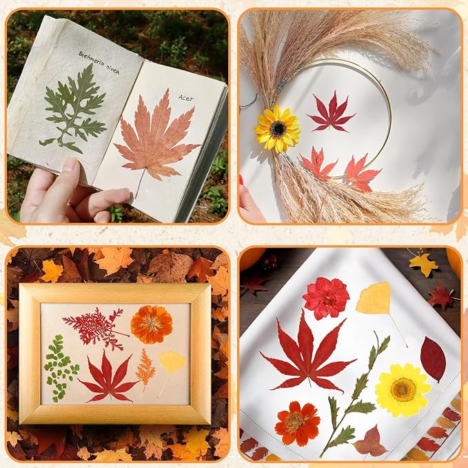 Augshy Fall Dried Pressed Flowers Orange Pressed Fall Leaves - Image 7