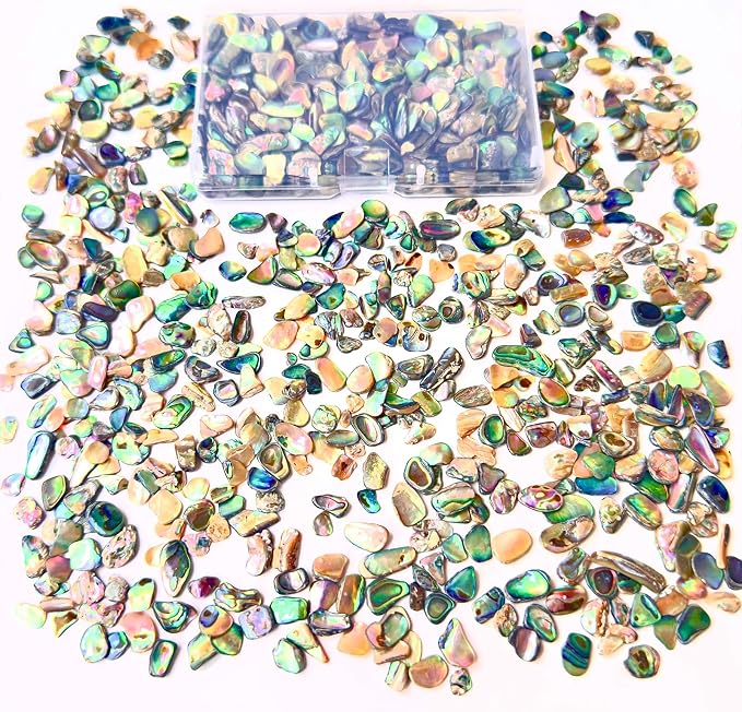 Abalone Shell Slices, Polished Abalone Slices - Image 2