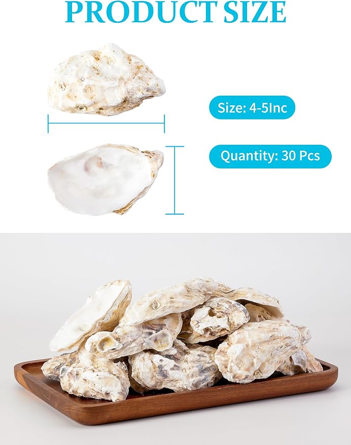 30Pcs Oyster Shells for Crafts， 4"-5" Large Oyster Shell for Crafts，Oyster - Image 5