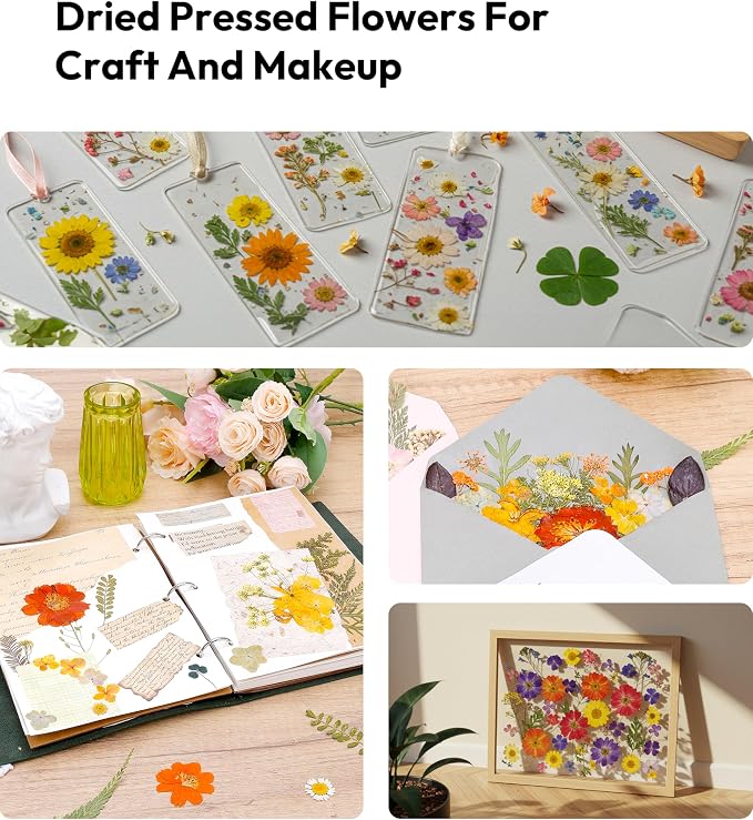 Dried Pressed Flowers, Resiners Dried Flowers - Image 2