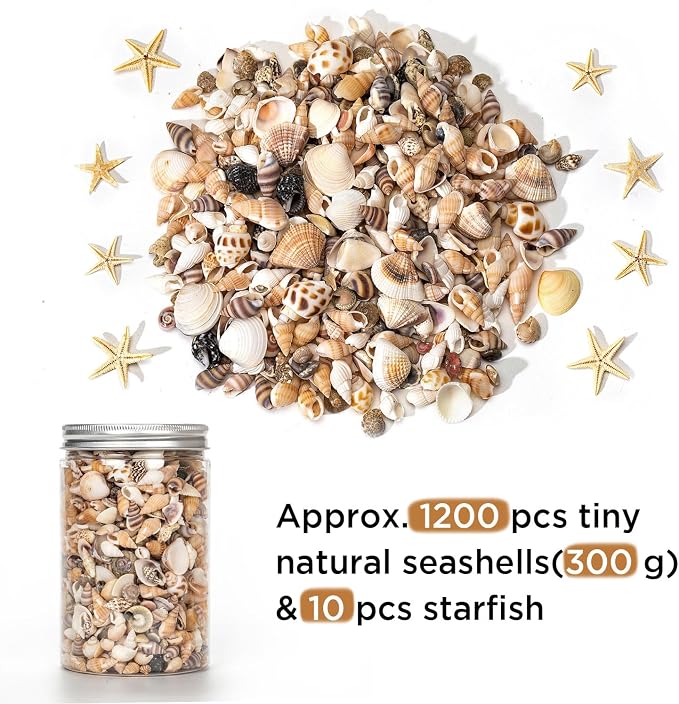 1200 PCS Natural Seashells, Joyfulmap Tiny sea Shells & Small Starfish - Image 2