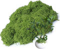 Forlaoers 5.3oz Light Green Artificial Floral Moss Fake Moss Faux Plant by Forlaoers
