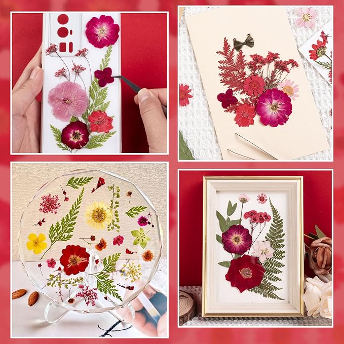101 PCS Red Dried Pressed Flowers - Image 5
