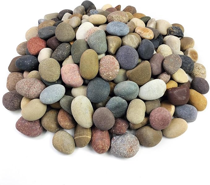 FANTIAN 10 lbs River Rocks, 1-2 Inch Natural Pebbles by FANTIAN-GardeningMakesLifeBetter