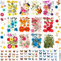 300 Pcs Pressed Dried Flowers by Evatage