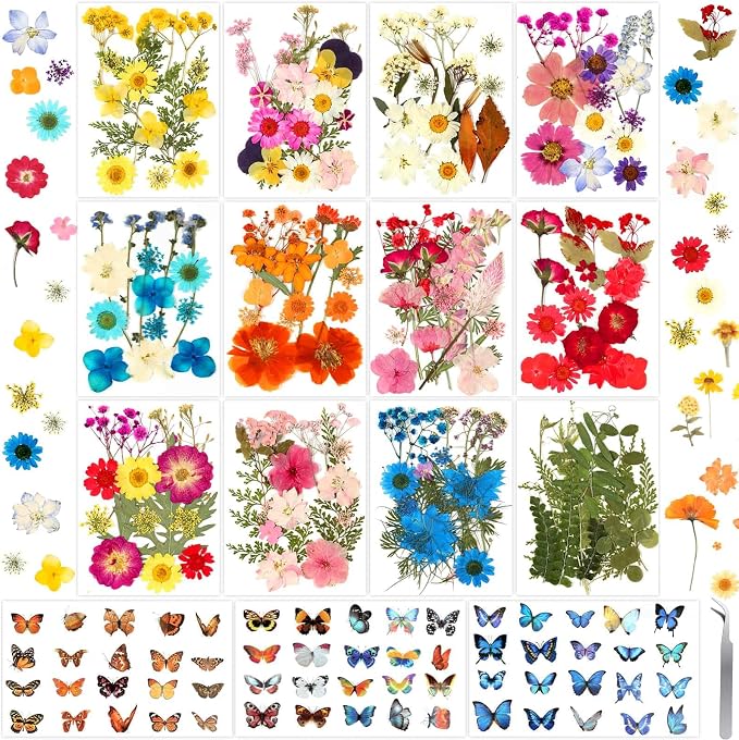 300 Pcs Pressed Dried Flowers by Evatage