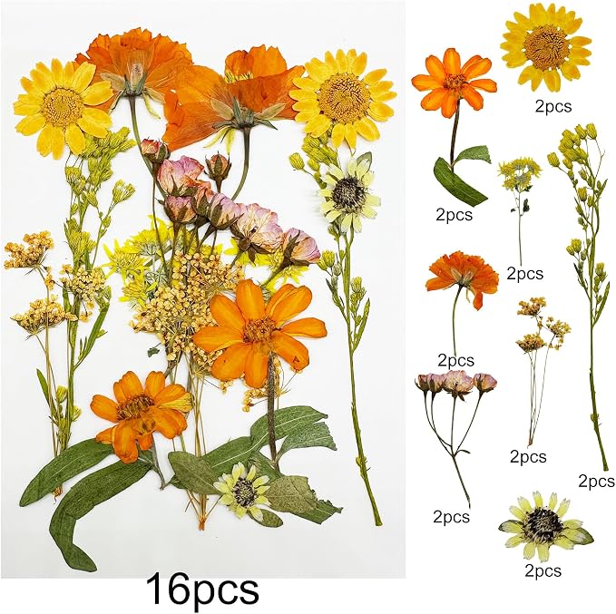 Woohome 4 Packs Real Pressed Flowers - Image 5