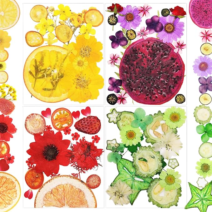 75Pcs Pressed Dried Flowers Fruits by LUCISKY