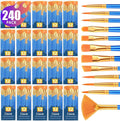 ESRICH Paint Brushes Set, 20 Pack 240 Pcs Nylon Hair Paintbrushes Round-Pointed by ESRICH