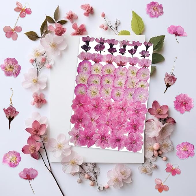 51 Pcs Real Natural Cherry Blossom Dried Pressed Flowers - Image 3
