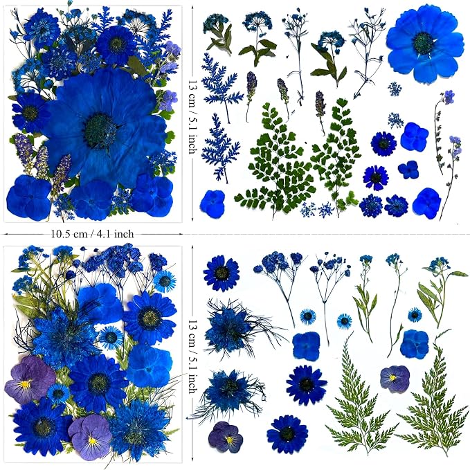 132Pcs Blue Pressed Dried Flowers and Butterfly - Image 6