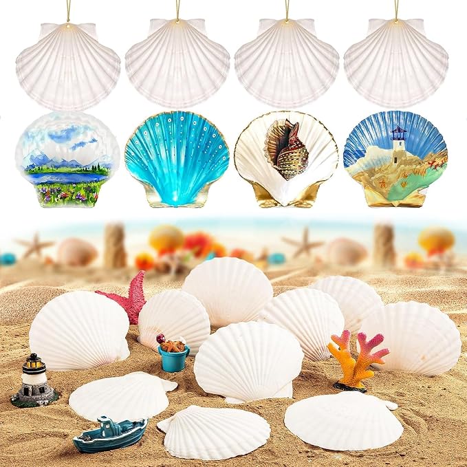 12PCS Large Natural Scallop Shells 4''-5'' White Sea Shells - Image 3