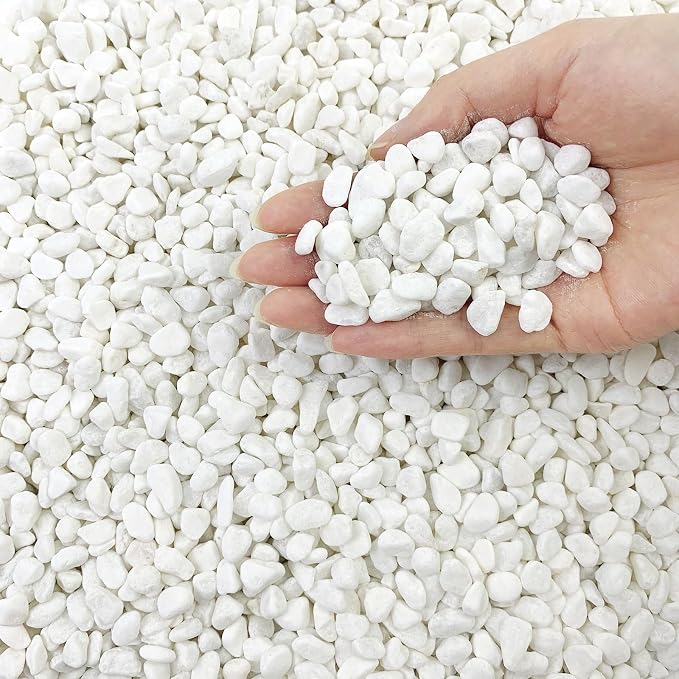 FANTIAN 10LB Natural Succulent Gravel Decorative White Rocks by FANTIAN-GardeningMakesLifeBetter
