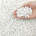 FANTIAN 10LB Natural Succulent Gravel Decorative White Rocks by FANTIAN-GardeningMakesLifeBetter
