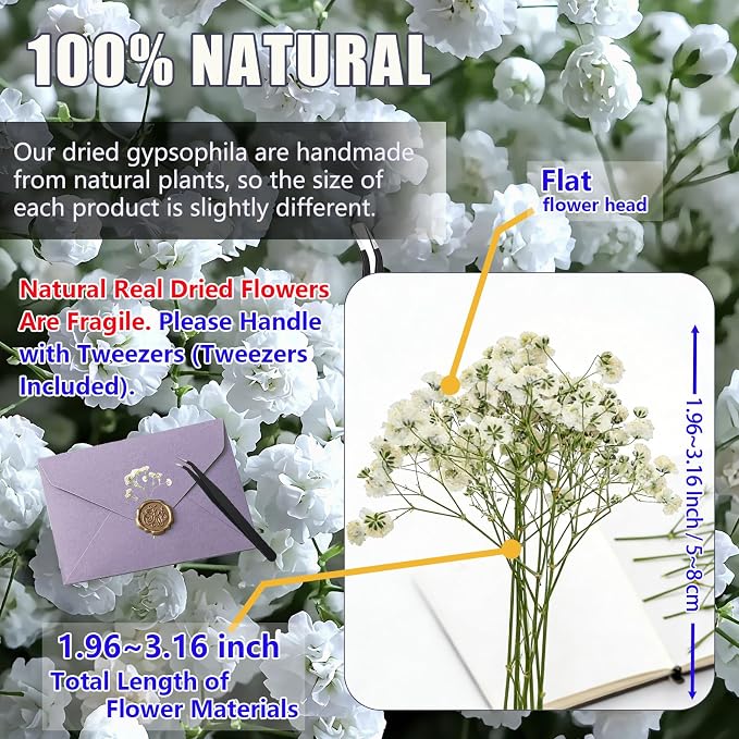 56Pcs Babys Breath Mini Dried Pressed Flowers - Image 4