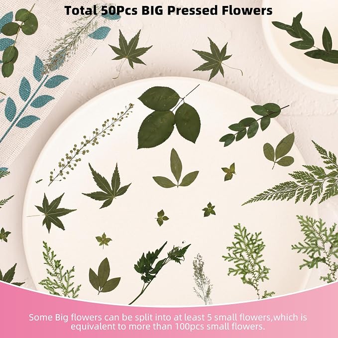 12“ Large Bulk Summer Dried Pressed Flowers - Image 4