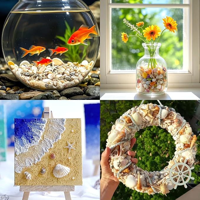 Tiny Sea Shells & 6 Starfish Decor Mixed Ocean Beach Spiral Seashells - Image 6