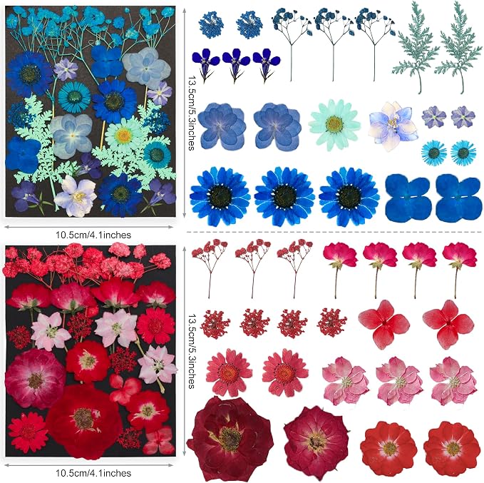 285Pcs 9 Packs Mixed Types Real Natural Dried Pressed Flowers & Leaves - Image 3