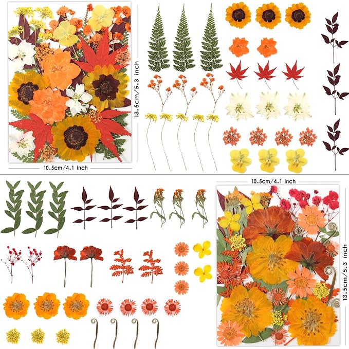 LUXEEASE 120P Yellow Orange Red Dried Pressed Flowers | Warm cozy gradient - Image 3