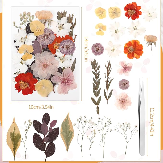 100 Pcs Dried Pressed Flowers, Real Natural Dried Wildflowers Leave - Image 3
