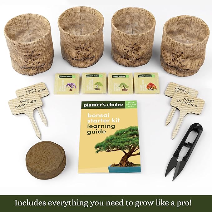 Planter's Choice Bonsai Tree Kit - Image 2