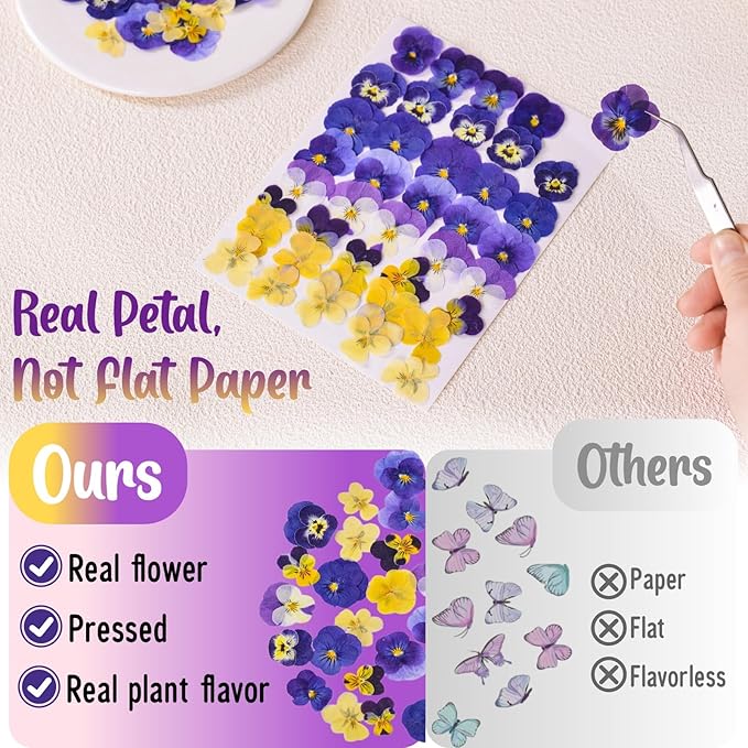 40 Pcs 8 Kinds Natural Dried Pressed Edible Flowers - Image 5