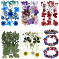 BIHRTC 100pcs Blue Dried Flowers by HOME