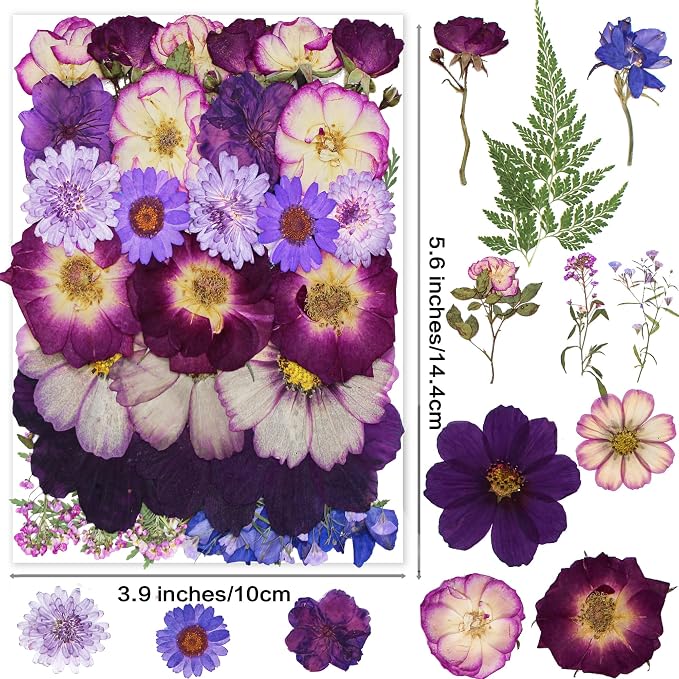 Large Purple Dried Pressed Flowers - Image 2