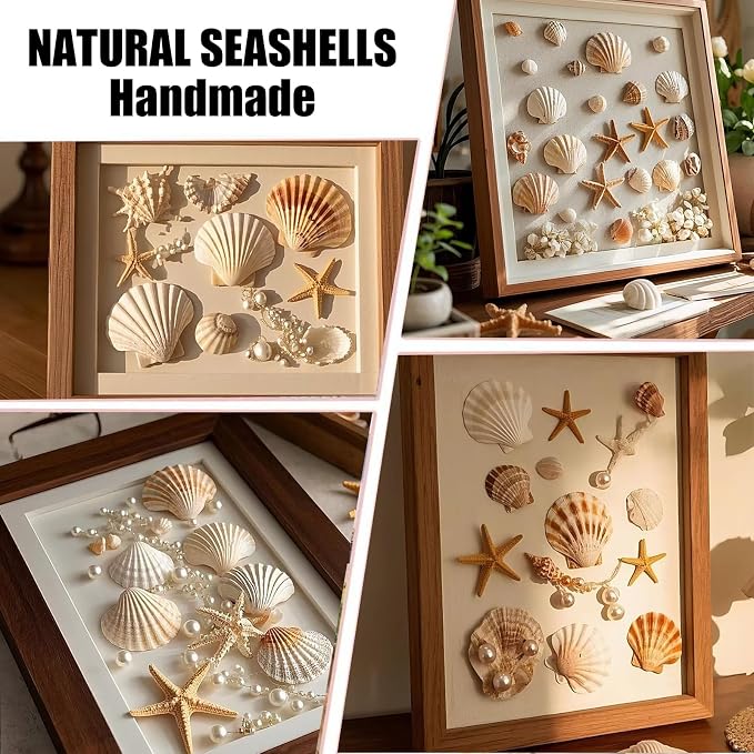 50 PCS Natural Sea Shells 1.6" to 2" White Scallop Shells - Image 6