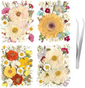 140pcs Dried Pressed Flowers Bulk, Natural Fall Pressed Dried Flowers by LGFMGWH