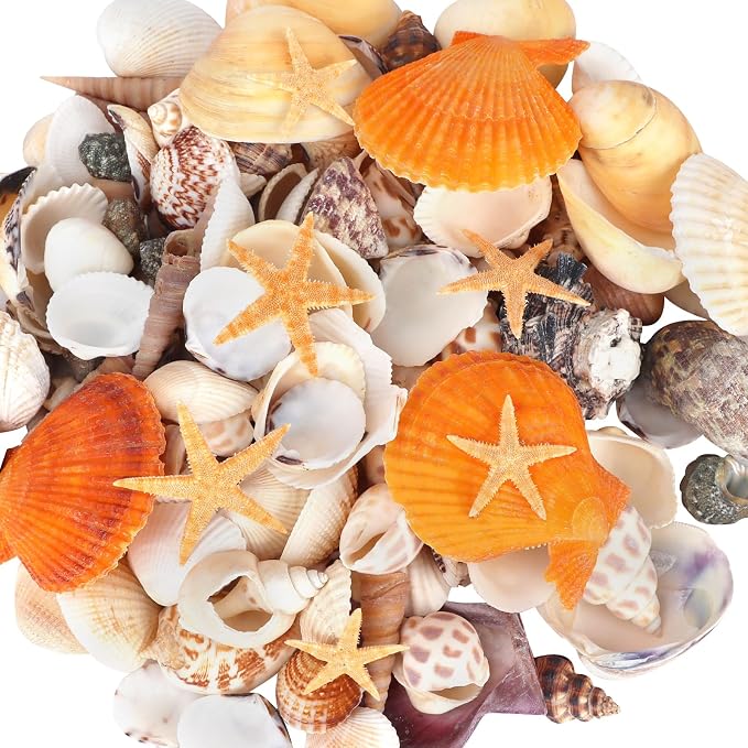 WEOXPR Mixed Sea Shells, 150+ Pcs Beach Seashells Starfish, Various Sizes Ocean by WEOXPR