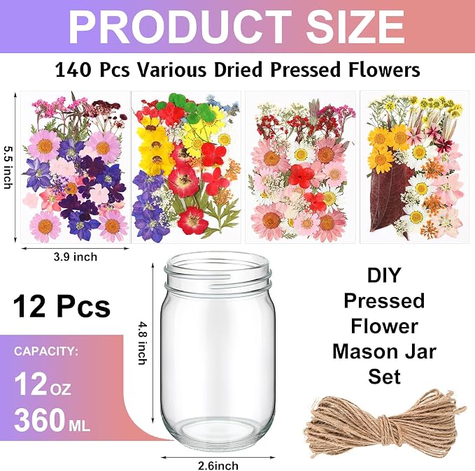 Tinideya 154 Pcs DIY Pressed Flowers Mason Jar Set Pressed Flower Lanterns 12 - Image 2