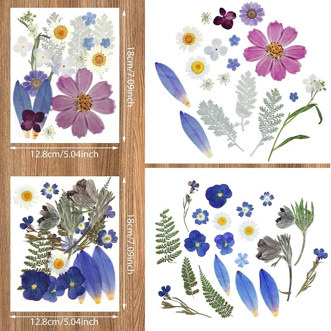 Nuanchu Dried Flower for Resin Crafts Pressed Flowers Bulk, Real Dried - Image 3