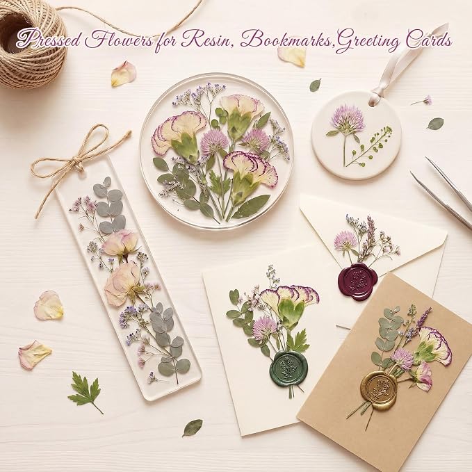 10+ Types Dried Pressed Flowers - Image 5