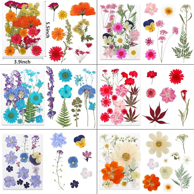 NESCCI 428 Pcs Dried Pressed Flowers - Image 2