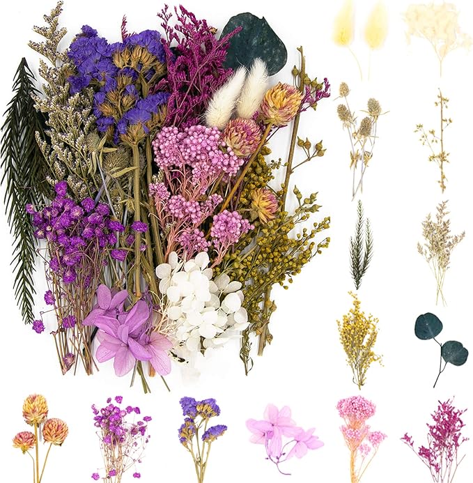 Vignee Real Dried Pressed Leaf Flowers-Multiple Colorful Pressed Flowers Daisies by Vignee
