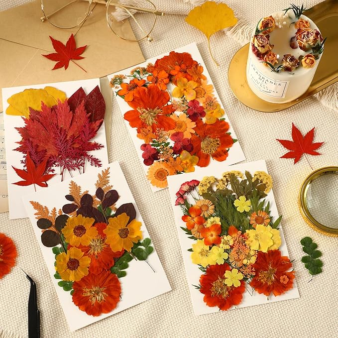 Augshy Fall Dried Pressed Flowers and Leaves - Image 6