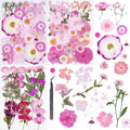 92Pcs Pink Dried Pressed Flowers by Unknown
