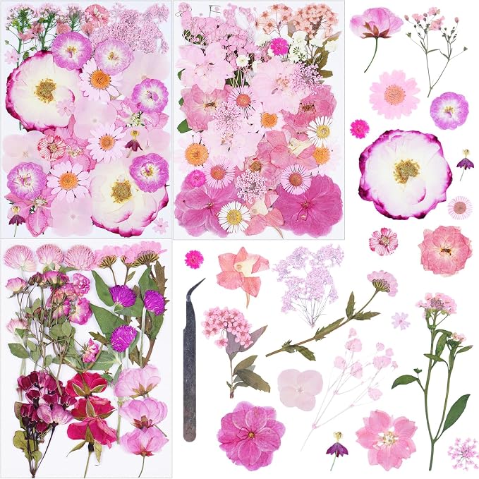 92Pcs Pink Dried Pressed Flowers by Unknown